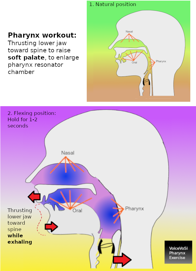 voicevosi pharynx enlarging excersise